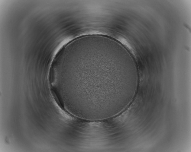 X0000097791181200803141822