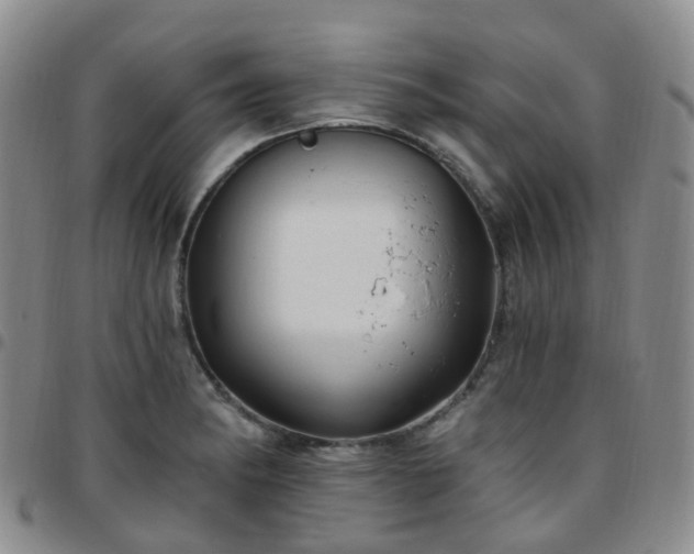 X0000097791182200803141822
