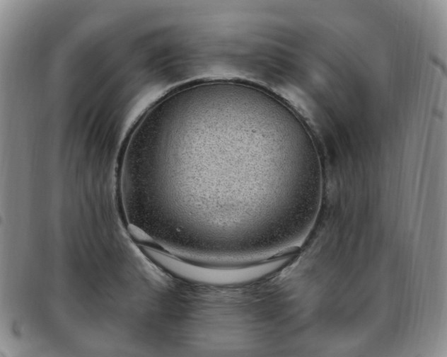 X0000097791183200803141822