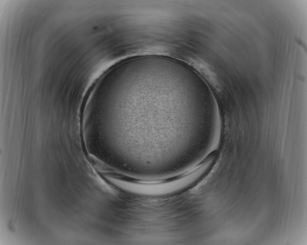 X0000097791184200803141822