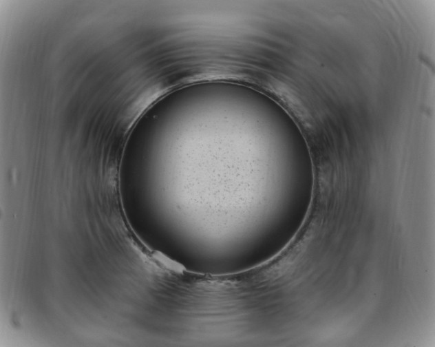 X0000097791185200803141822