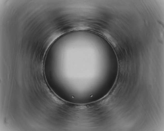 X0000097791186200803141822