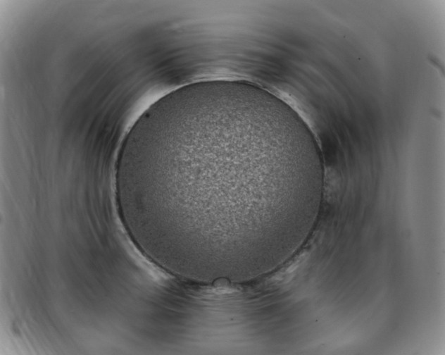 X0000097791187200803141822