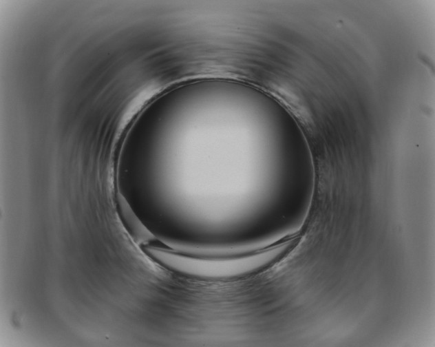 X0000097791188200803141822