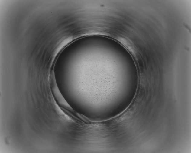 X0000097791189200803141822