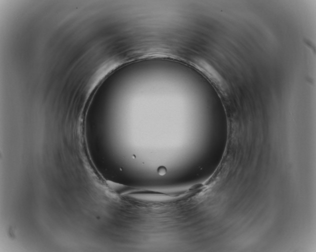 X0000097791190200803141822