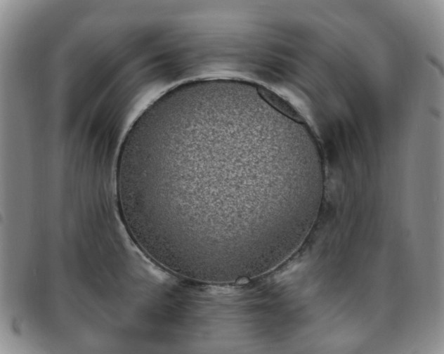 X0000097791191200803141822