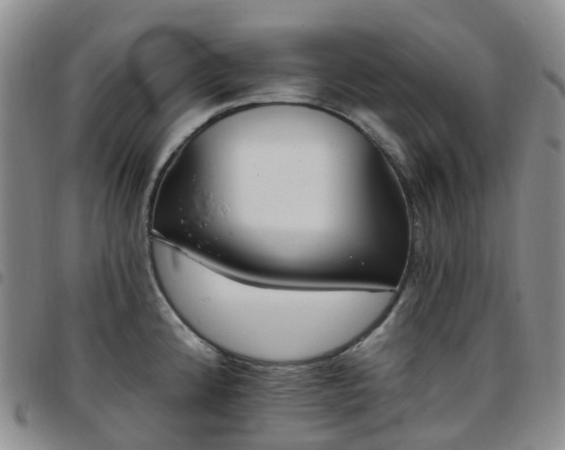 X0000097791192200803141822