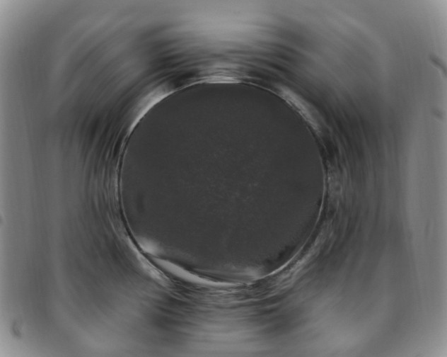 X0000097791194200803141822