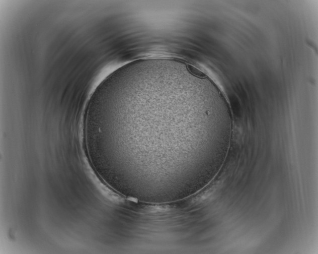 X0000097791195200803141822