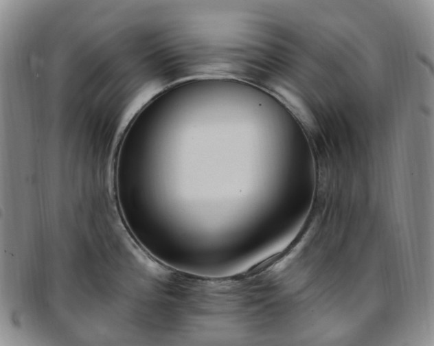 X0000097791196200803141822