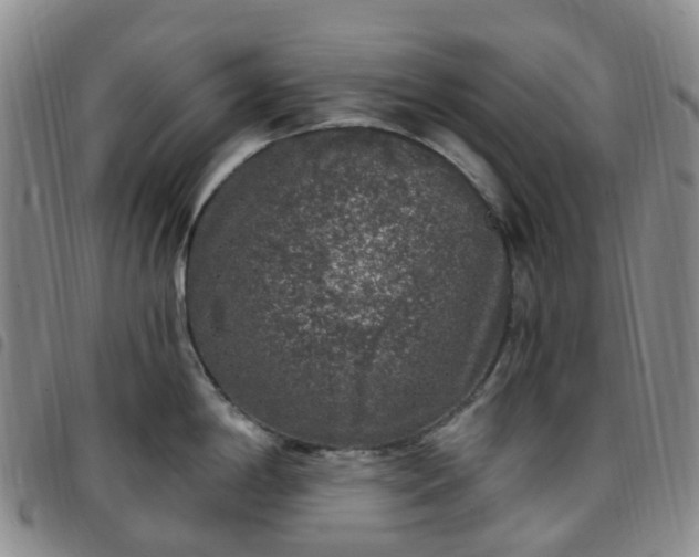 X0000097791198200803141822