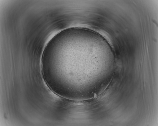 X0000097791199200803141822