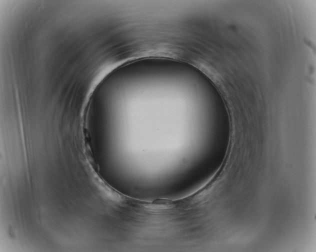 X0000097791200200803141822