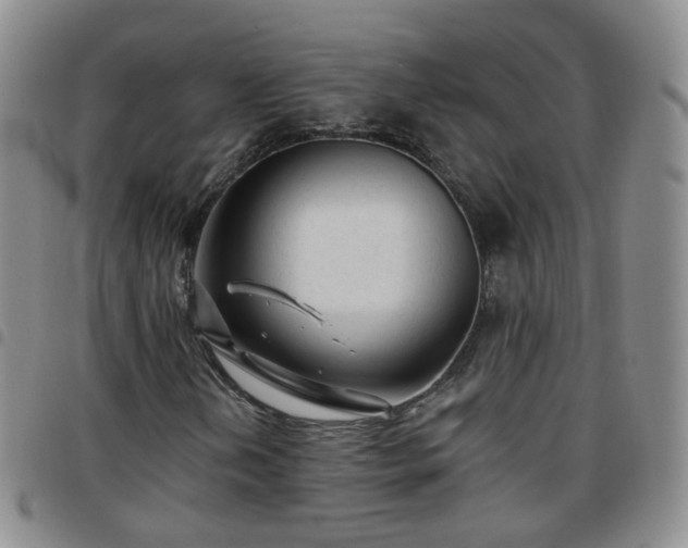 X0000097791202200803141821