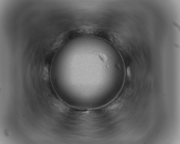 X0000097791203200803141821