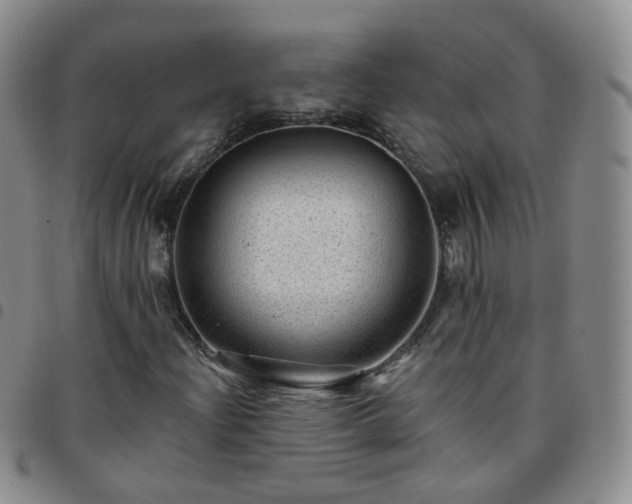 X0000097791204200803141821