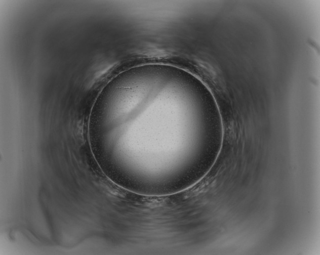 X0000097791205200803141822