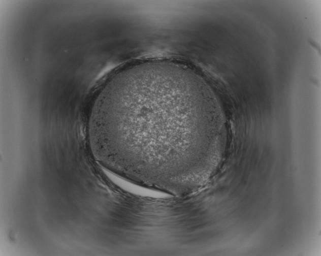 X0000097791206200803141822