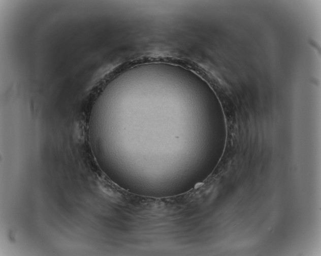 X0000097791207200803141822