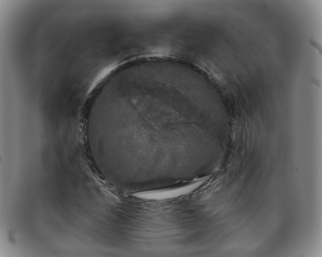 X0000097791208200803141822