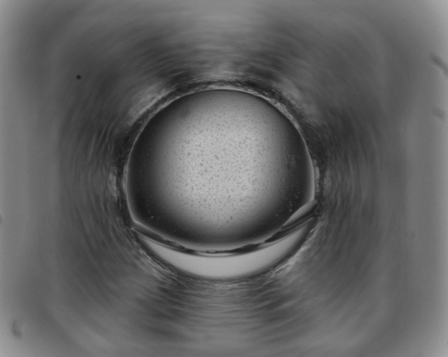 X0000097791209200803141822