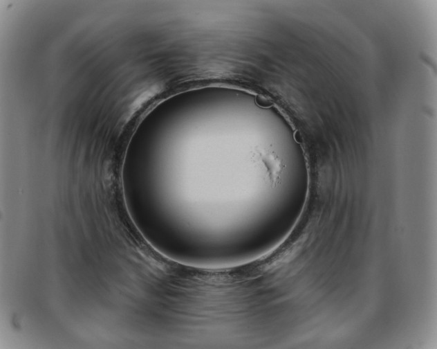X0000097791210200803141822