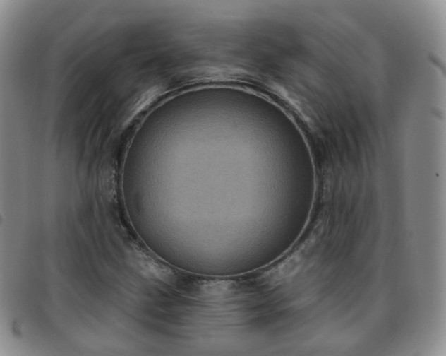 X0000097791211200803141822
