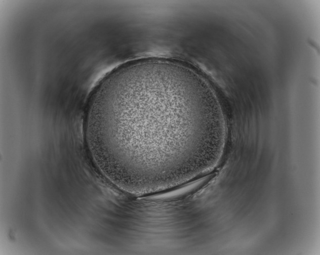 X0000097791214200803141822
