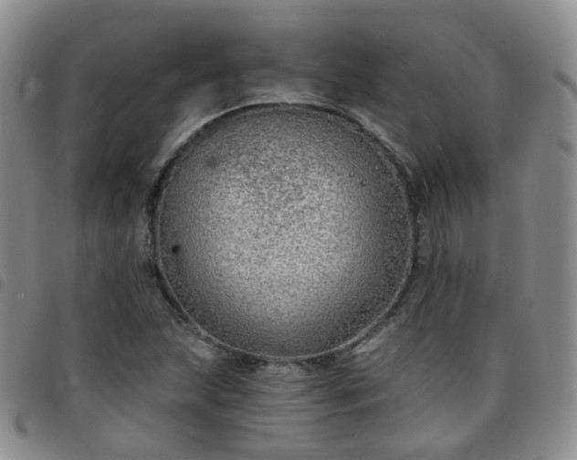 X0000097791215200803141822