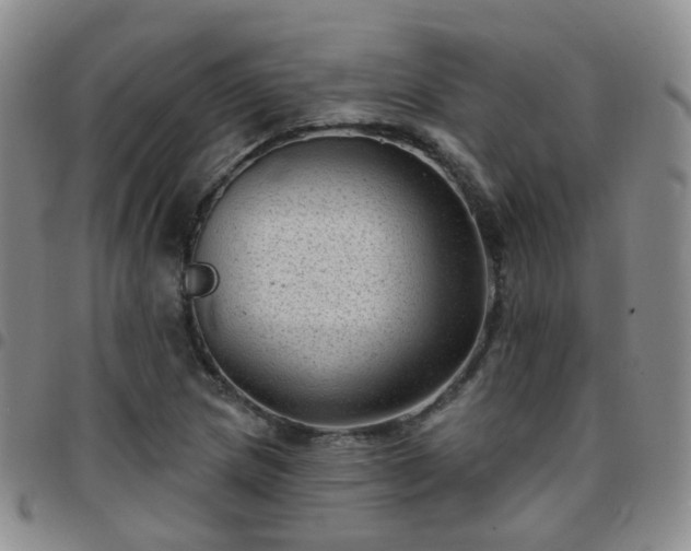 X0000097791217200803141822