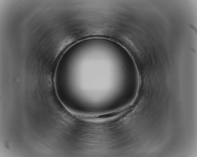 X0000097791218200803141822