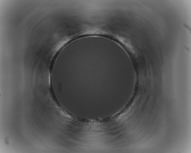 X0000097791221200803141822