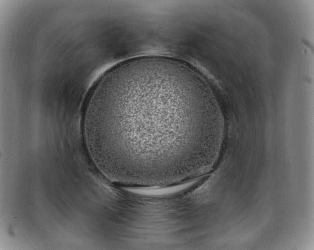 X0000097791222200803141822