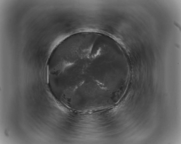 X0000097791223200803141822