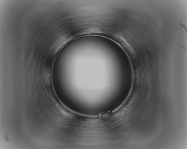 X0000097791225200803141822