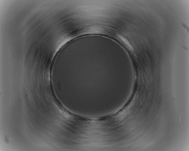 X0000097791226200803141822