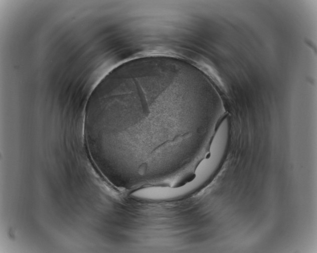 X0000097791228200803141822