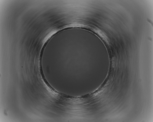 X0000097791229200803141822