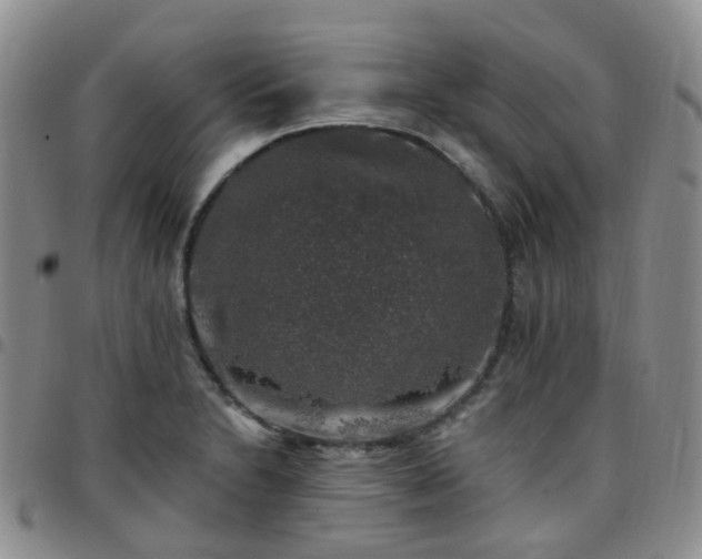X0000097791230200803141822