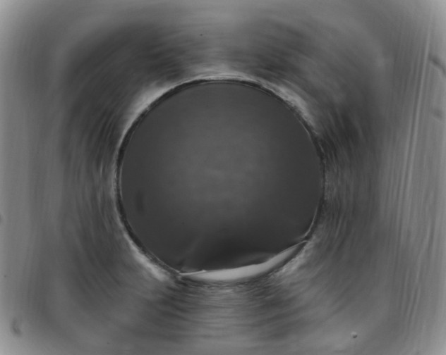 X0000097791231200803141822