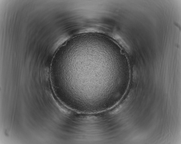 X0000097791233200803141822