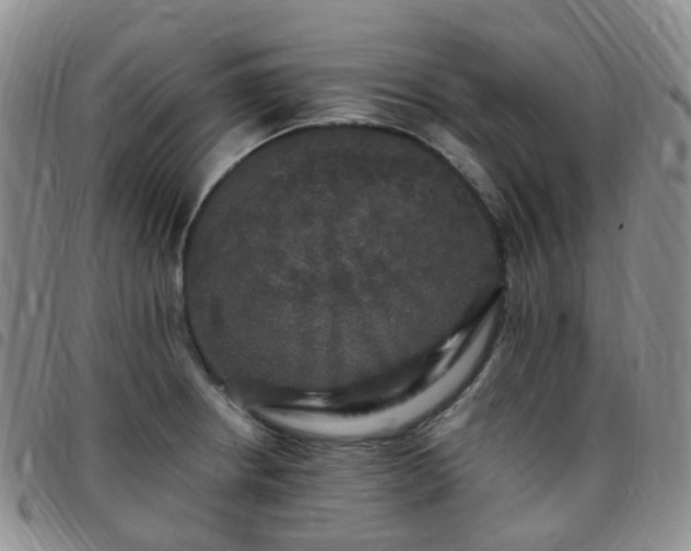 X0000097791234200803141822