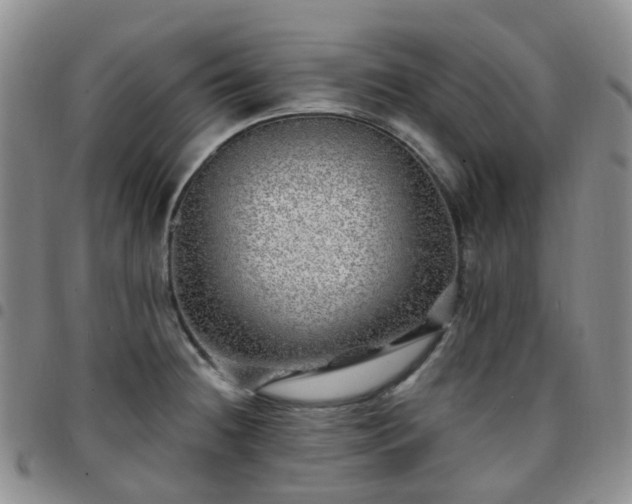 X0000097791236200803141822