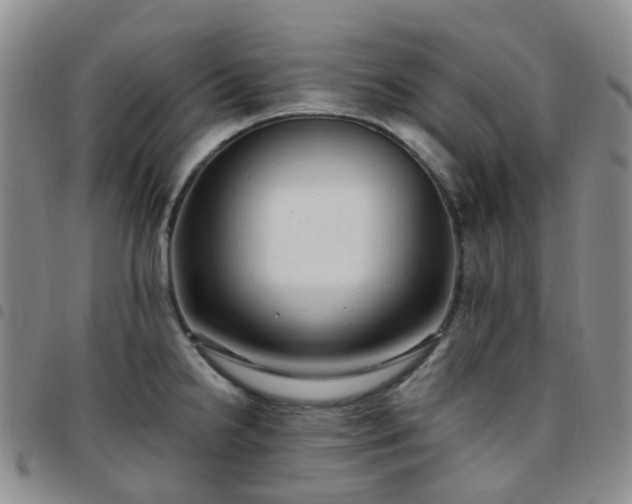 X0000097791238200803141822