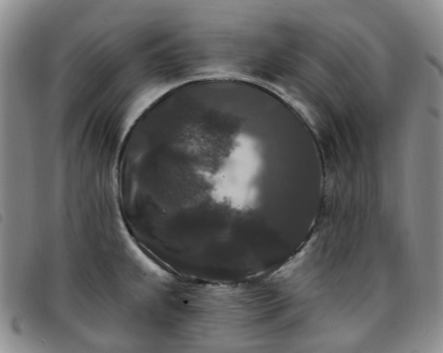 X0000097791239200803141822