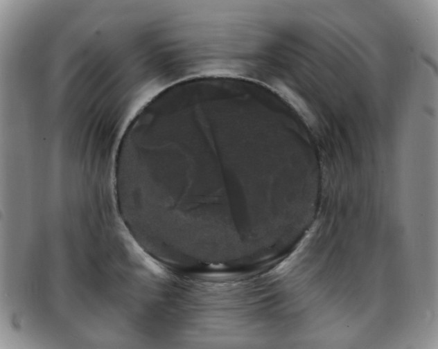 X0000097791240200803141822