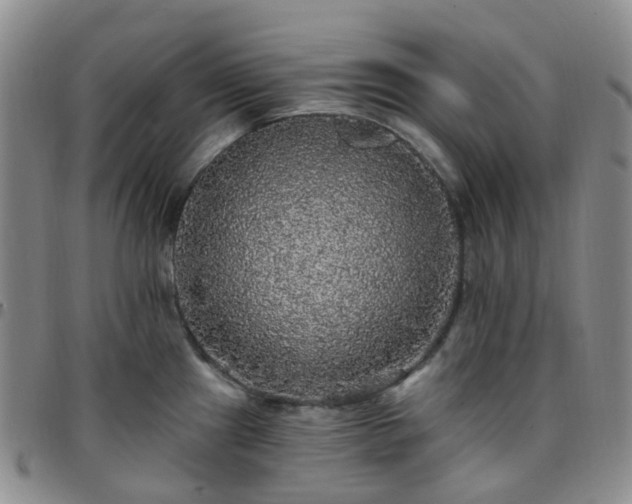 X0000097791241200803141822