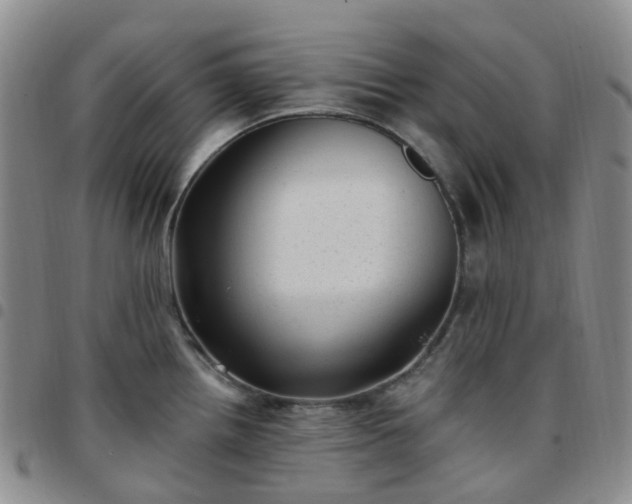 X0000097791242200803141822