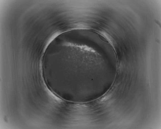 X0000097791243200803141822